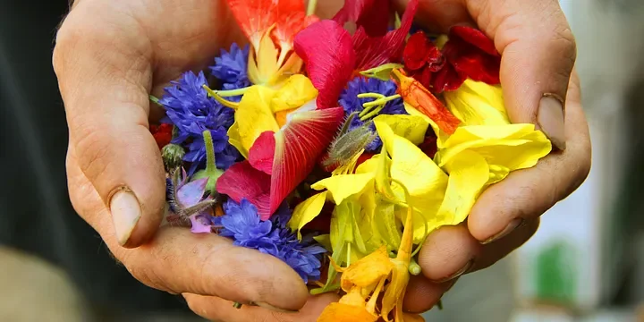 Featured image of post The Thin Line Between Kindness and Weakness