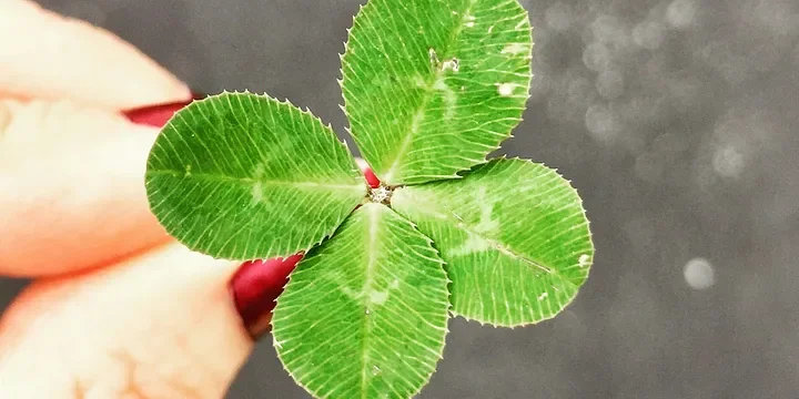 Featured image of post Usually, People with These 4 Habits Are Doomed to Have Bad Luck and a Shallow Life