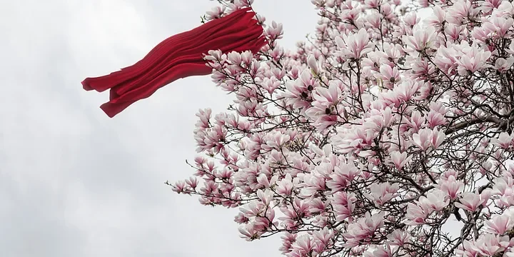 Featured image of post An Old Monk’s Warning: Three Omens Before a Great Calamity, Don’t Take It Lightly