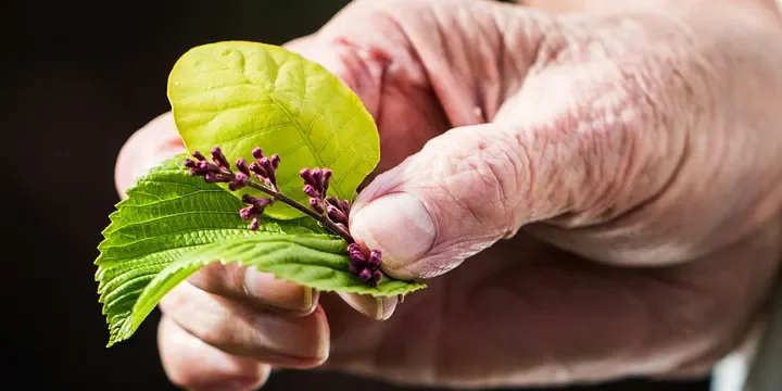 Featured image of post A 65-Year-Old Woman Was Kicked Out of a Nursing Home Within a Week Just for Saying These 3 Sentences