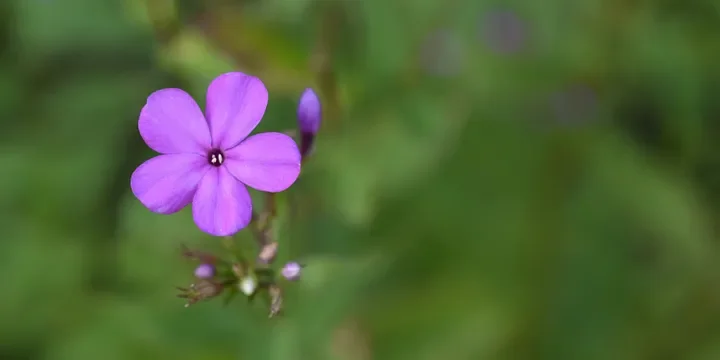 Featured image of post Unleash the Power of Your Good Fortune