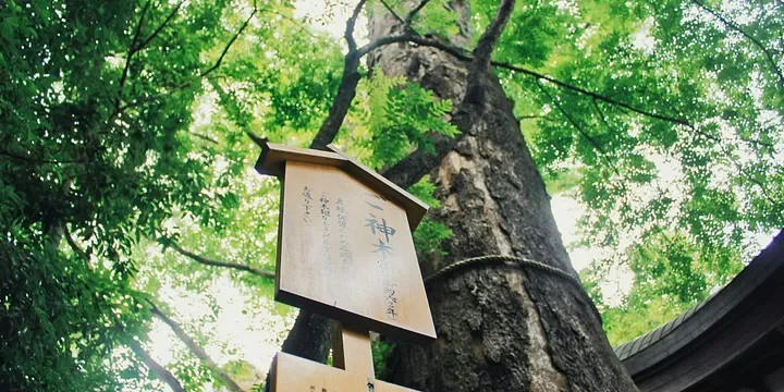 Featured image of post Bringing Up Three Grandkids, and Then Returning Home to Enjoy My Later Years